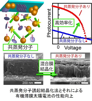 有機薄膜太陽電池の開発 | 東京農工大学研究ポータル