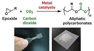 新規重合触媒の開発と新しい高分子材料の創製Development of Novel Polymerization Catalysts and Functional Polymeric Materials