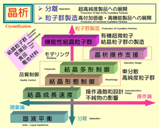 高度に結晶粒子群品質を制御するための晶析のオペレーションデザイン | 東京農工大学研究ポータル